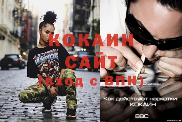 дмт Аркадак