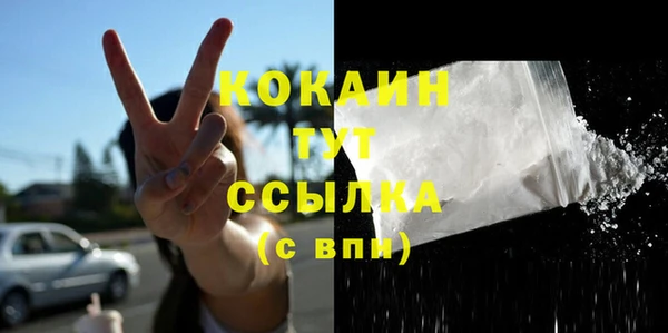 дмт Аркадак