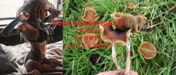 тгк Балахна