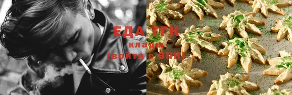 дмт Аркадак