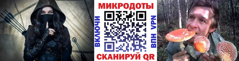 Псилоцибиновые грибы Psilocybe  mega ссылки  Котельниково  купить наркоту 