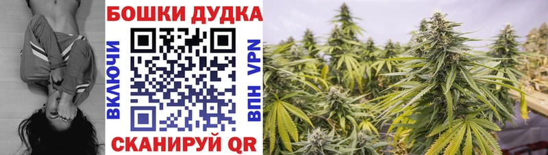 Каннабис Bruce Banner  МЕГА онион  Котельниково  цены  